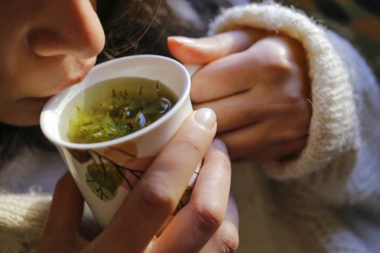 Les meilleures tisanes pour vos soirées d’hiver