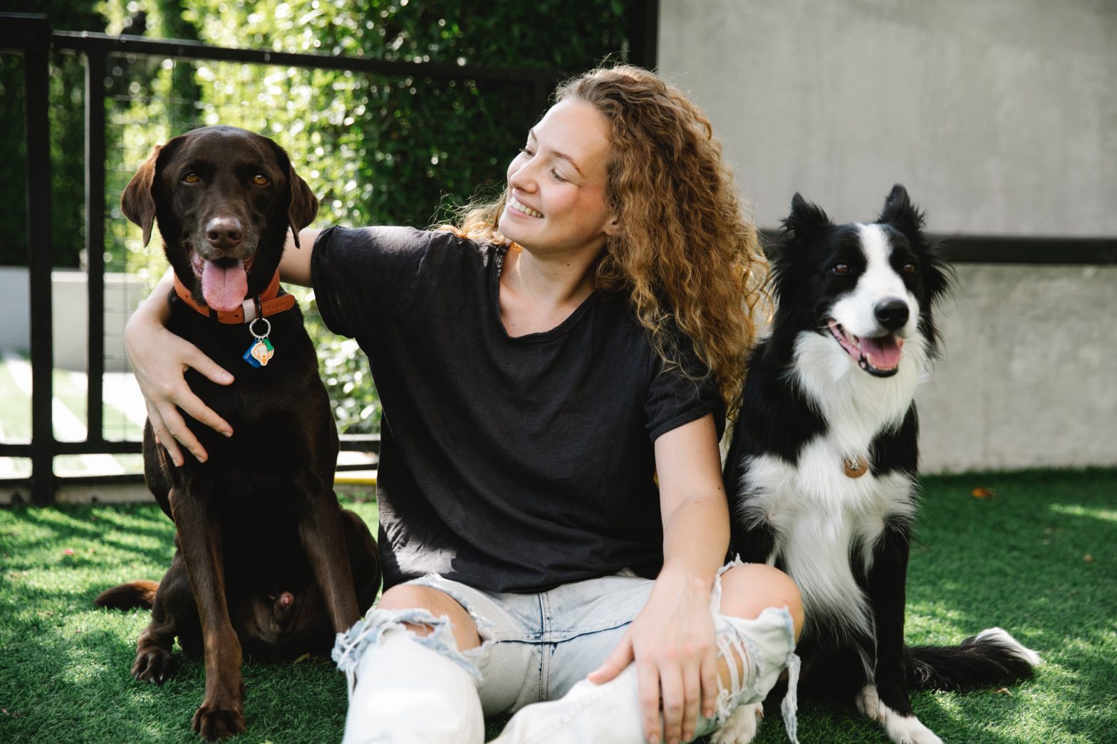 3 Destinations adaptées aux chiens pour une escapade de vacances de printemps avec la famille
