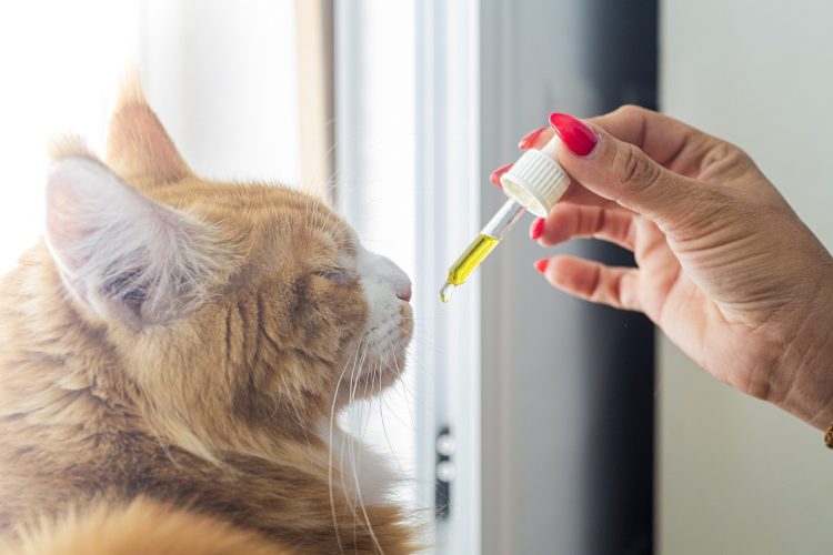 Traiter ces 3 mal-être avec l’huile de CBD