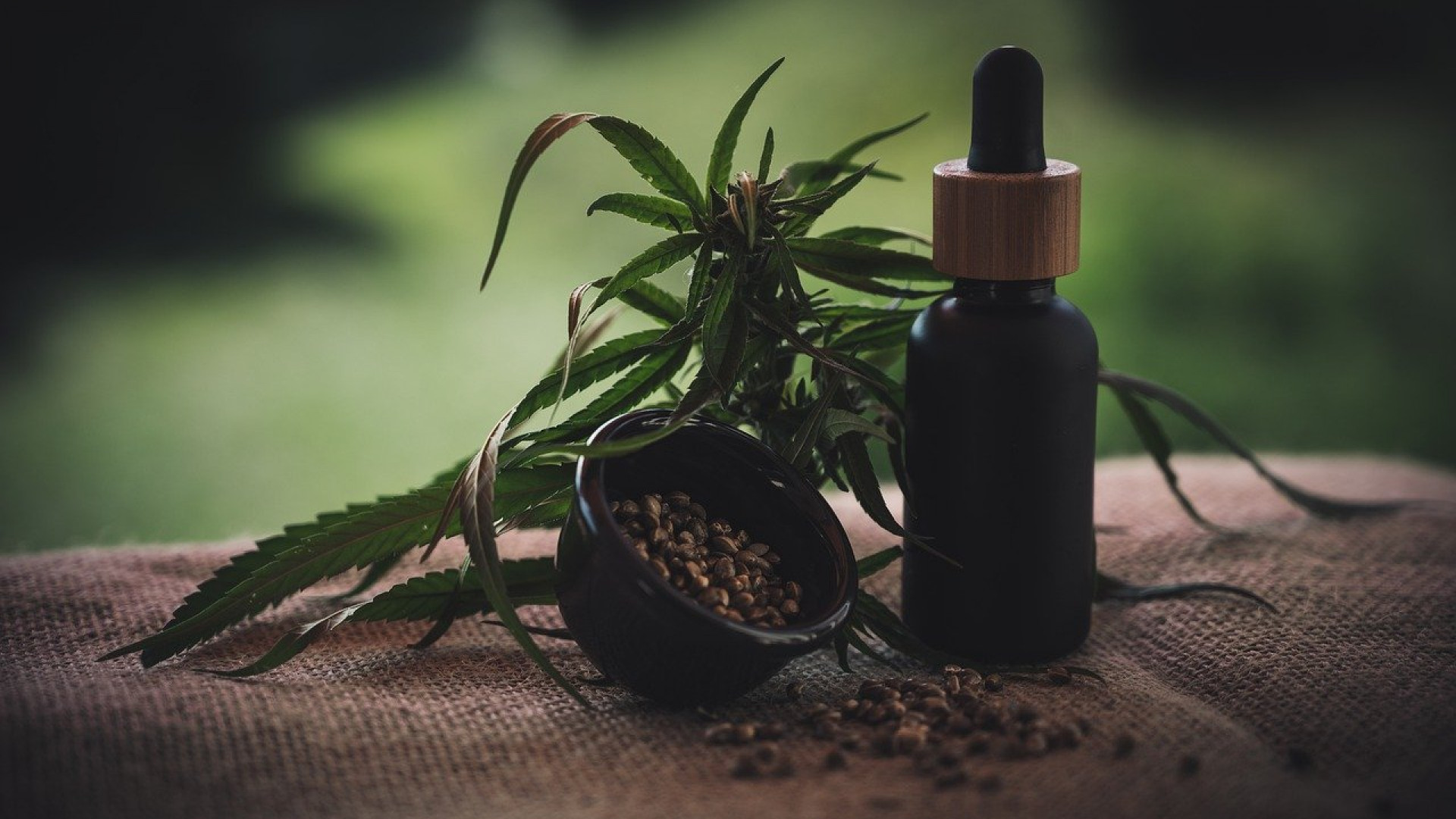 CBD : un remède naturel contre le stress !