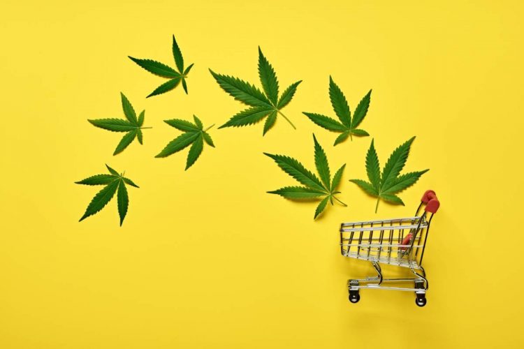 Marché du CBD : une croissance exponentielle