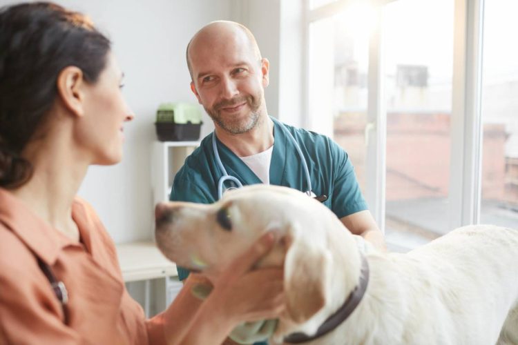 Comment bien protéger votre animal de compagnie ?