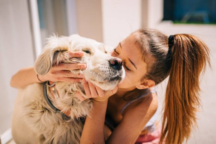 Conseils pour réussir l’adoption d’un chien