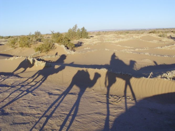 Guide du camping dans le désert du Sahara au Maroc