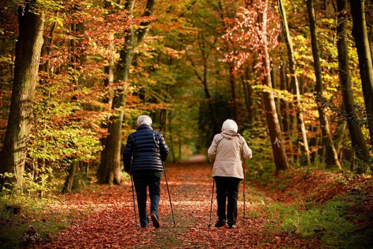 Top5 des activités de loisirs pour personnes âgées