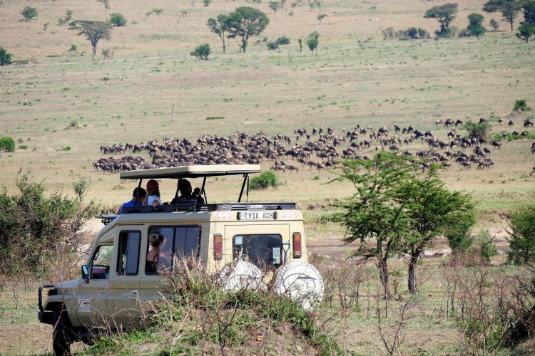 Quelles activités incontournables faire en Tanzanie ?