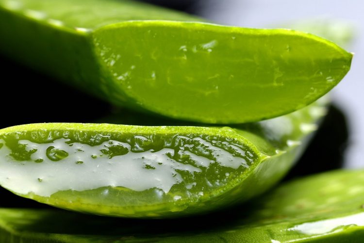 Les 10 meilleures recettes naturelles de beauté pour femme