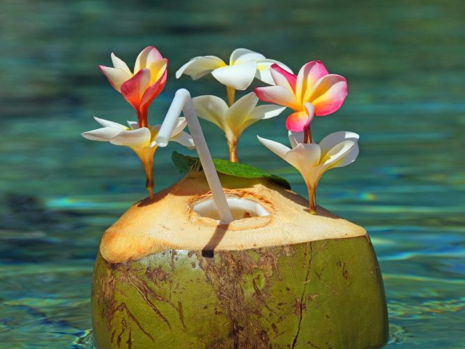 7 avantages rafraîchissants de l’eau de coco pour la santé