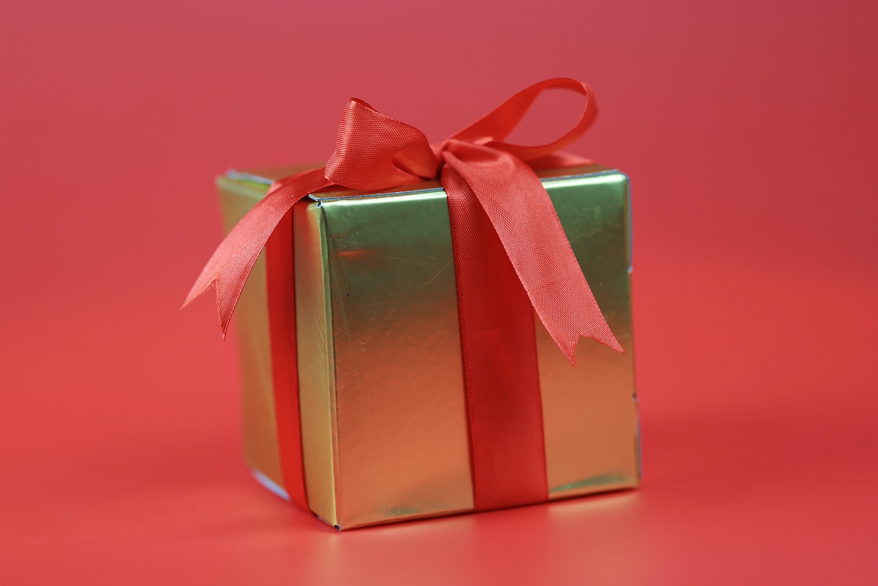 Noël 2023 : offrez des expériences à vivre, des souvenirs à chérir