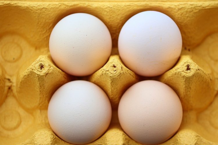 Combien de temps durent les œufs et comment savoir s’ils sont frais ?