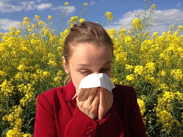 Conseils pour voyager avec une personne souffrant d’allergies alimentaires