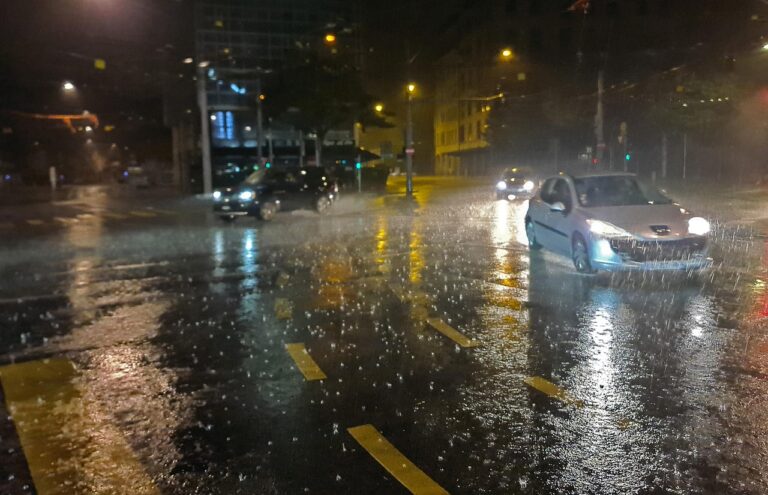 Le parapluie de berger pour faire face efficacement aux intempéries