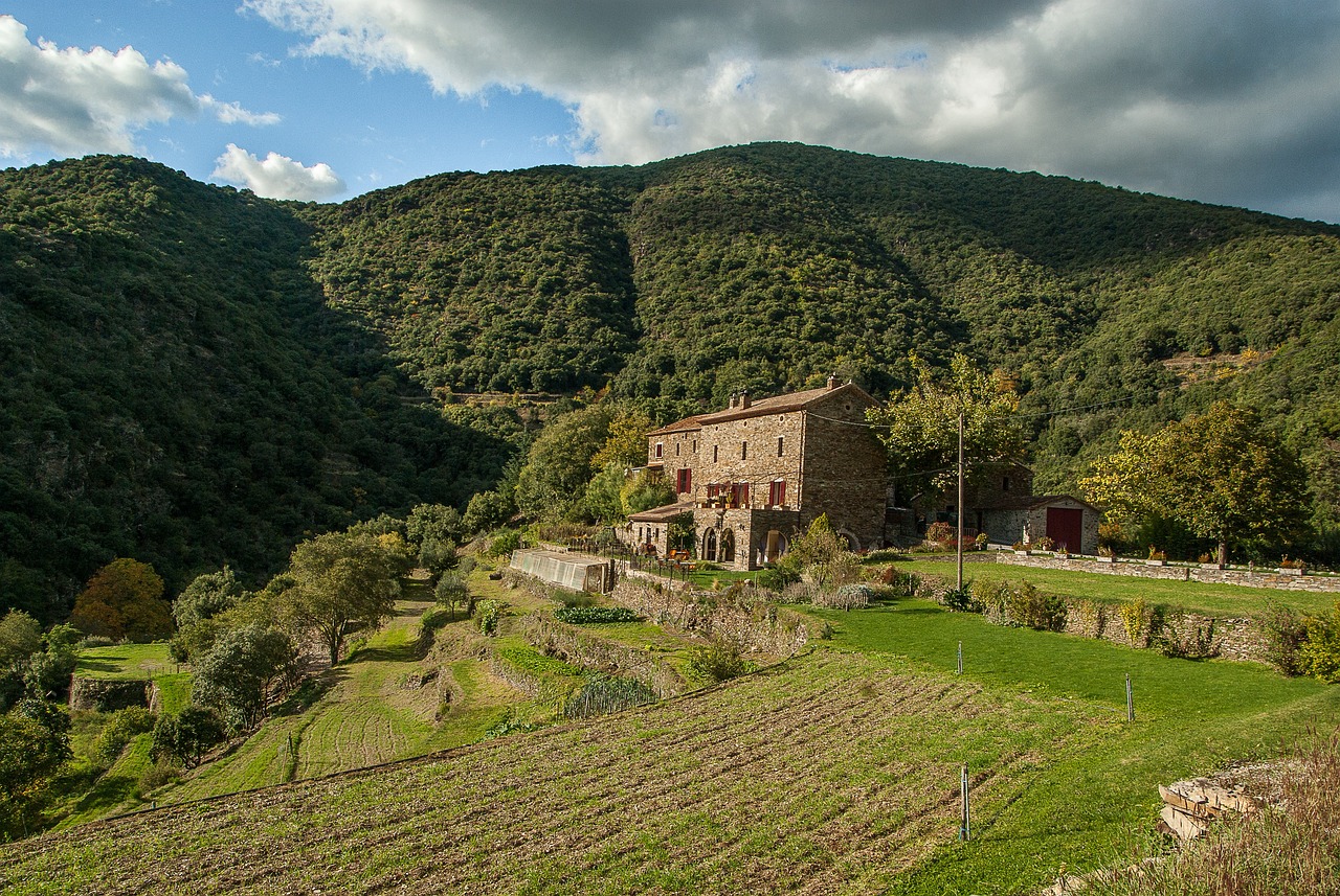 Retour à la nature : découvrez les avantages uniques du camping dans les Cévennes