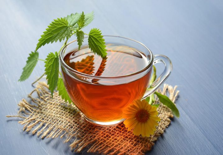 5 aliments et herbes pour renforcer le système immunitaire lors de la rentrée scolaire