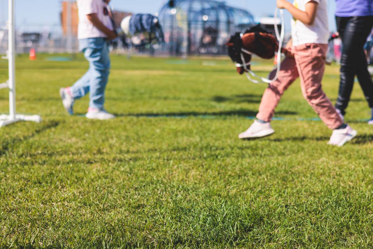 Cheval bâton pour enfants : un jouet simple aux multiples bienfaits