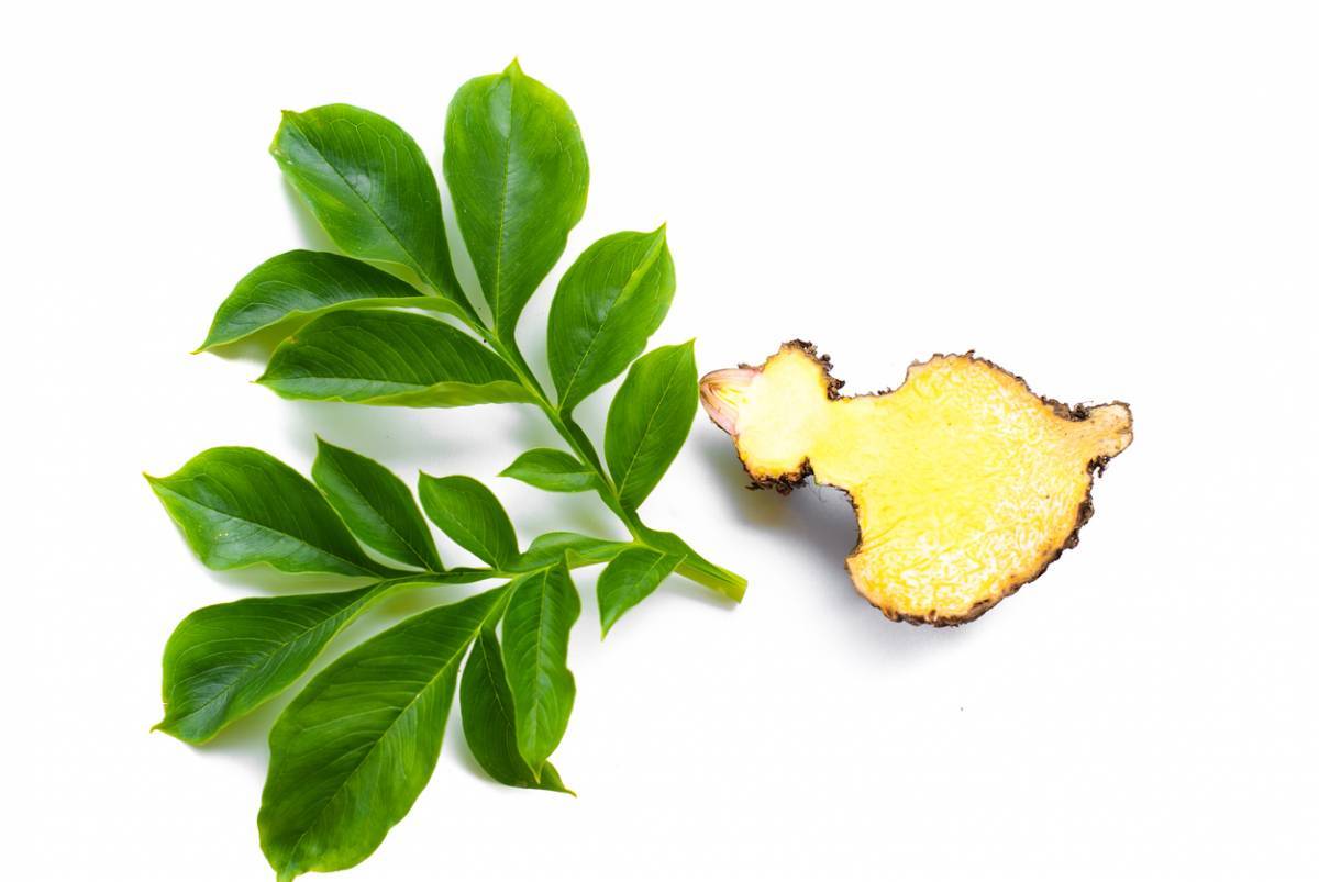 Le konjac, votre allié minceur au naturel