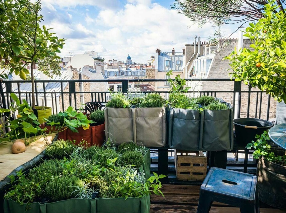 potager urbain