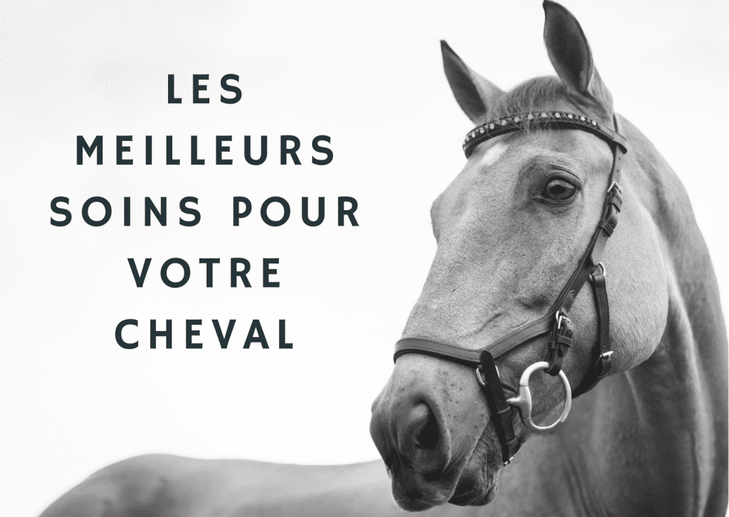 cheval