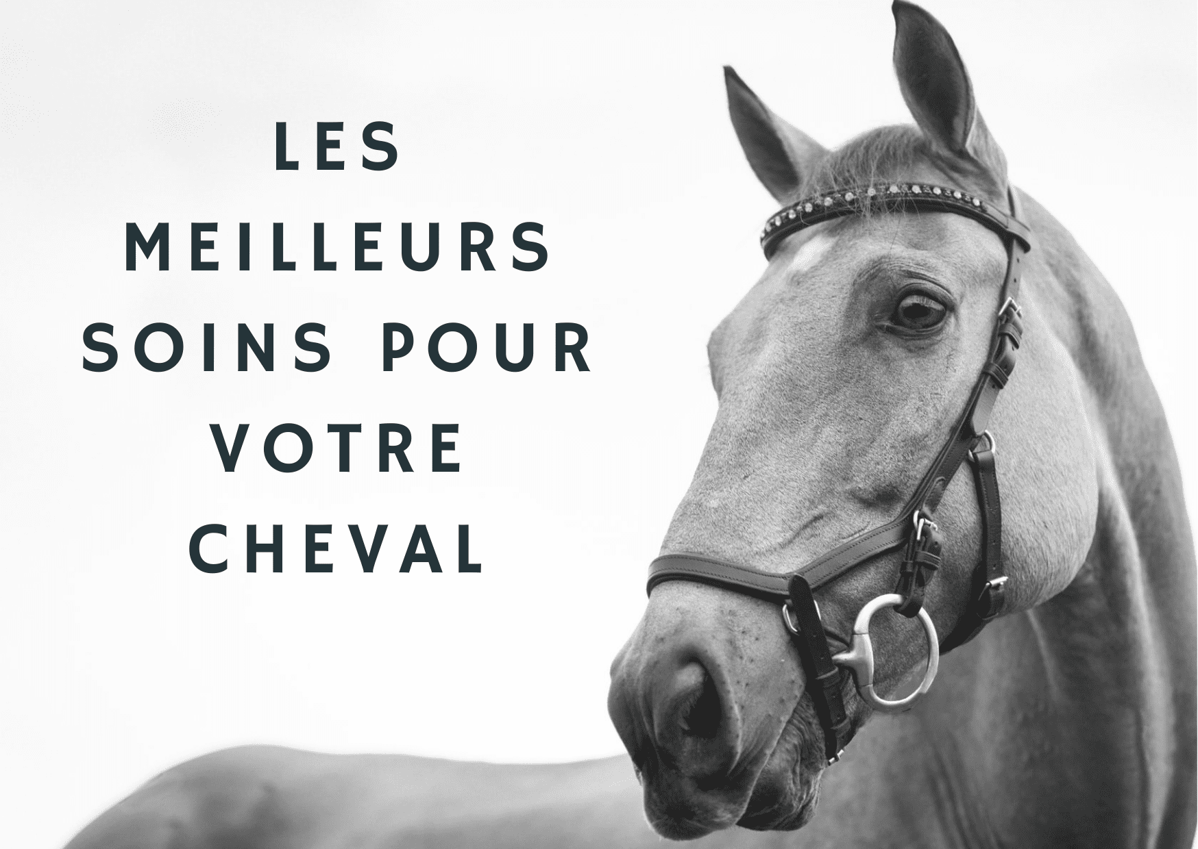 cheval