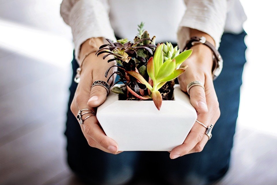A quelles associations caritatives faire un don financier ?