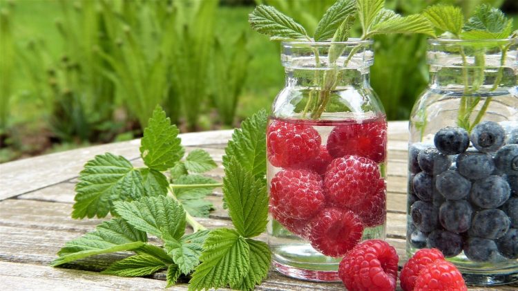 8 recettes d’eau détox