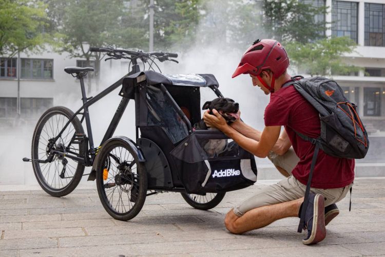 Transporter un chien à vélo : comment faire ?