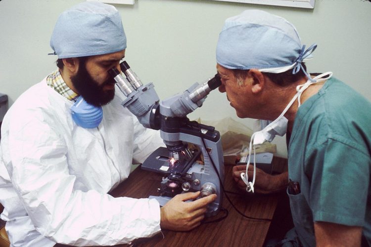 La pathologie