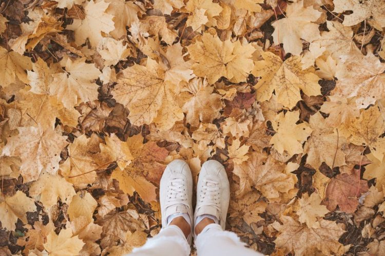 4 types de baskets à la mode cet automne