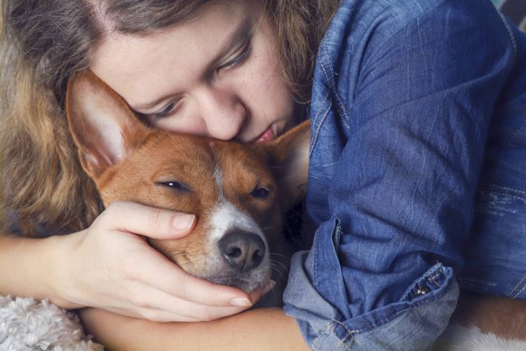 Votre fidèle chien est décédé, que faire maintenant ?