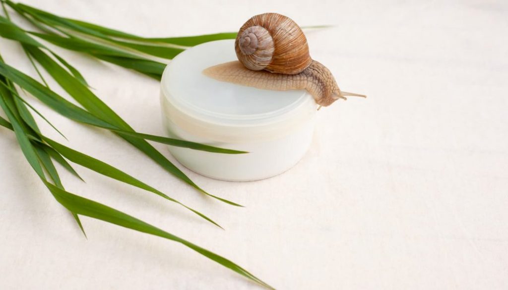 escargot