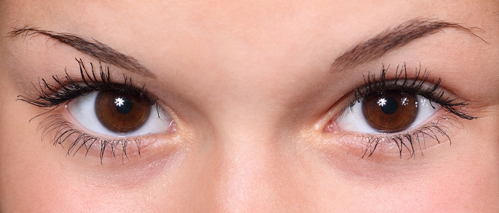 sourcils touffus