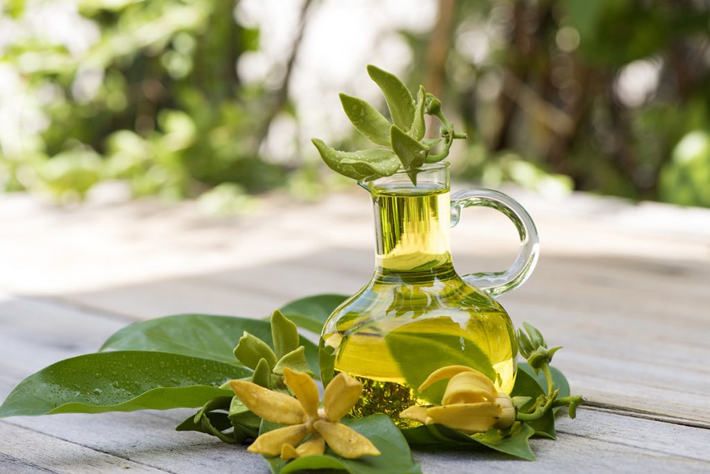 ylang ylang
