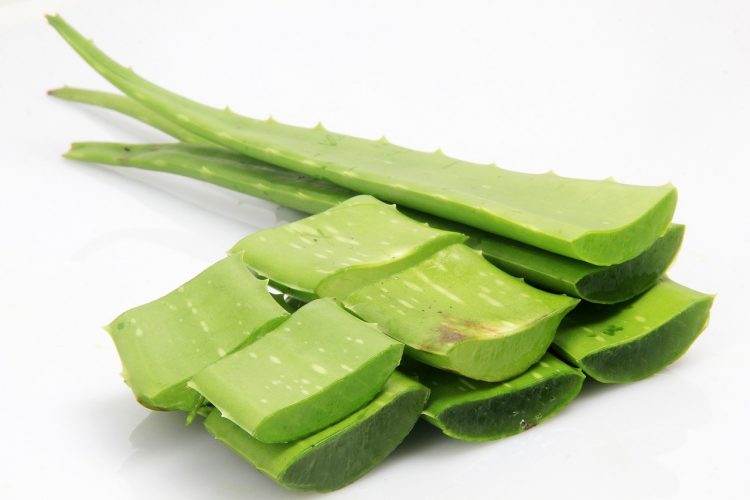 Aloe vera
