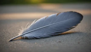 plume grise signification